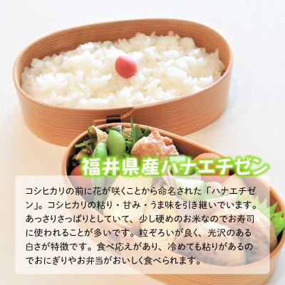 おおかわさんちの華越前 10kg [A-10806]