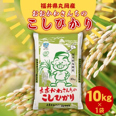 おおかわさんちのコシヒカリ 10kg [B-10801]