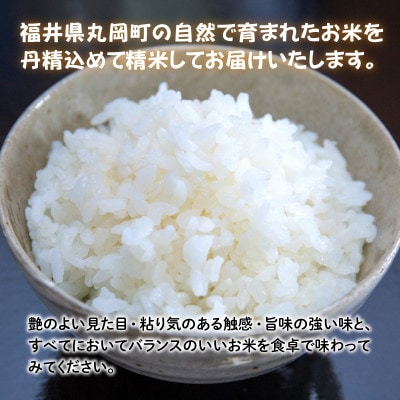おおかわさんちのコシヒカリ 10kg [B-10801]