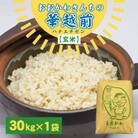おおかわさんちの華越前 玄米 30kg [D-10802]