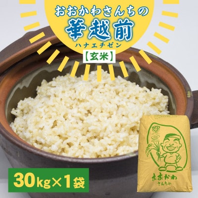 【値下げ】 30kg 玄米 おおかわさんちの華越前 [D-10802] 福井県坂井市 | その他