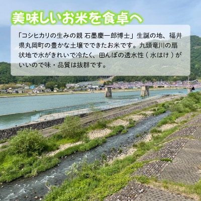 おおかわさんちの華越前 玄米 30kg [D-10802] | 福井県坂井市