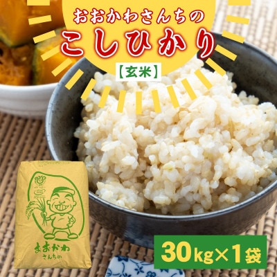 おおかわさんちのコシヒカリ玄米30kg [E-10801] | 福井県坂井市