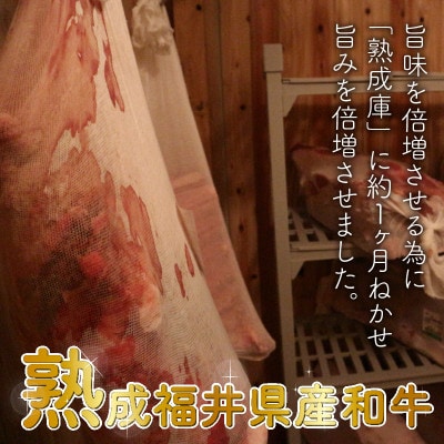 福井県産和牛しぐれ煮(100g×3パック)ナカノ特製100%和牛の極旨品[A-2002]