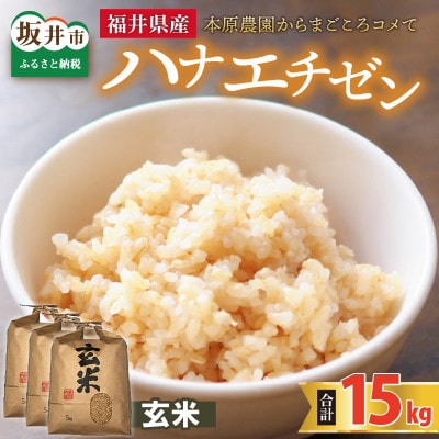 【先行受付】【令和6年産】ハナエチゼン15kg(5kg×3袋)　玄米[A-8905]
