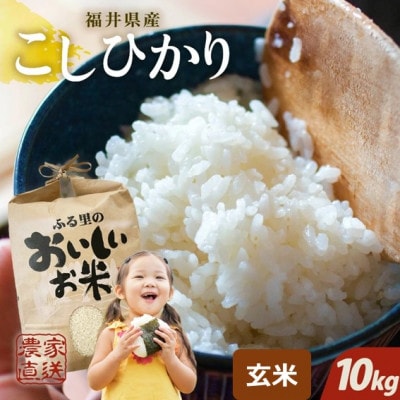 【先行受付】【令和6年産】福井県産 コシヒカリ10kg(5kg×2袋)　玄米[A-8922]