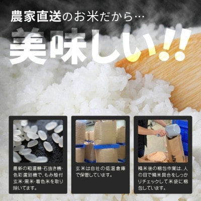【先行受付】【令和6年産】福井県産 コシヒカリ10kg(5kg×2袋)　白米[A-8922]