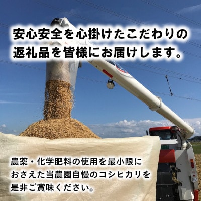 【先行受付】【令和6年産】福井県産 コシヒカリ10kg(5kg×2袋)　白米[A-8922]