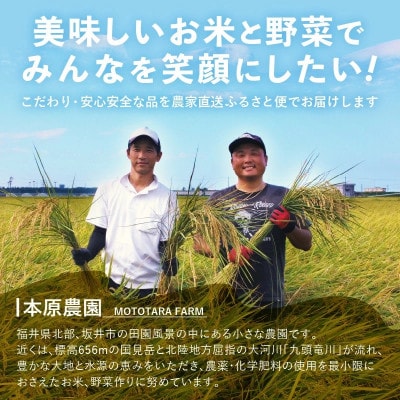 【先行受付】【令和6年産】福井県産 コシヒカリ10kg(5kg×2袋)　白米[A-8922]