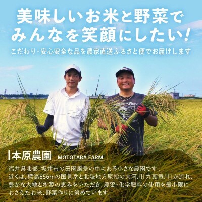 【先行受付】【令和6年産】福井県産 コシヒカリ15kg (5kg×3袋)　白米[A-8981]