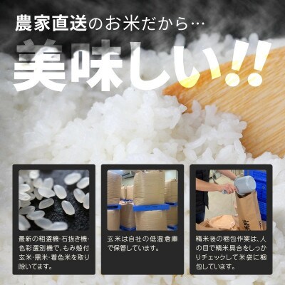 【先行受付】【令和6年産】福井県産 コシヒカリ20kg(10kgX 2袋)　白米[B-8941]