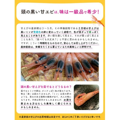 まずはおひとつ♪「共栄丸」直送船内瞬間冷凍 甘えび 約550g [A-2393] 