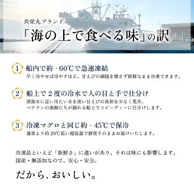 海の上で食べる味!「共栄丸」直送☆船内瞬間冷凍 甘えび 約1.1kg [A-2395] 