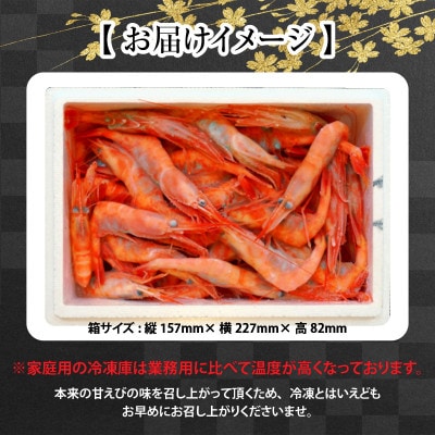 【発泡箱入り 】まずはおひとつ♪「共栄丸」直送船内瞬間冷凍 甘えび 約550g [A-2394] 
