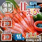 【発泡箱入り】海の上で食べる味!「共栄丸」直送☆船内瞬間冷凍 甘えび 約1.1kg[A-23101]