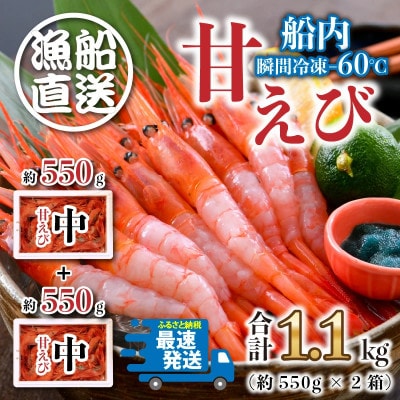 【発泡箱入り】海の上で食べる味!「共栄丸」直送☆船内瞬間冷凍 甘えび 約1.1kg [A-2396]