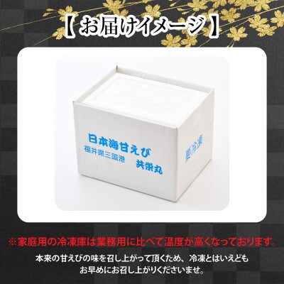 【発泡箱入り】海の上で食べる味!「共栄丸」直送☆船内瞬間冷凍 甘えび 約1.1kg [A-2396]