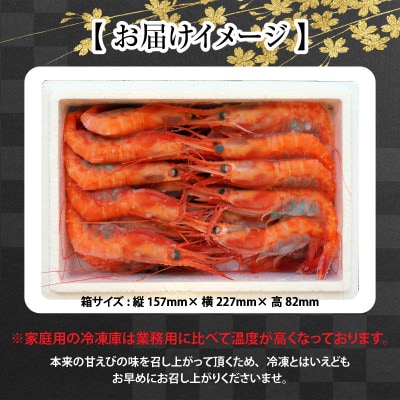 漁船直送☆船内瞬間冷凍 プレミアム甘えび 約650g [A-2328]
