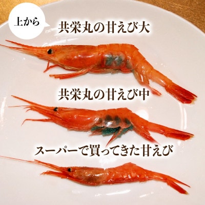 漁船直送☆船内瞬間冷凍 プレミアム甘えび 約650g×2[A-2329]
