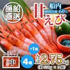 海の上で食べる味!漁船直送☆船内瞬間冷凍 甘えび 約2.75kg [C-2303]