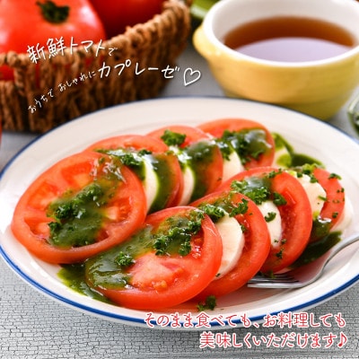 坂井の大自然が育てたもぎたて新鮮トマト 約4kg (16～24玉入)[A-2606]