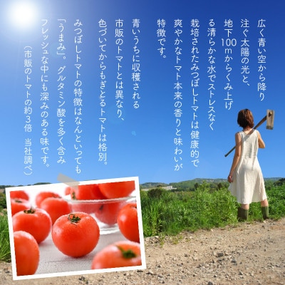 三つ星クオリティ☆真っ赤なトマトまるごと100%ジュース (720ml × 2本)[A-2607]