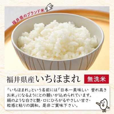 【令和6年産】福井県ブランド米 いちほまれ 無洗米 2kg[A-6106]
