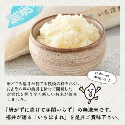 【令和6年産】福井県のブランド米 いちほまれ 無洗米 5kg[A-6108]