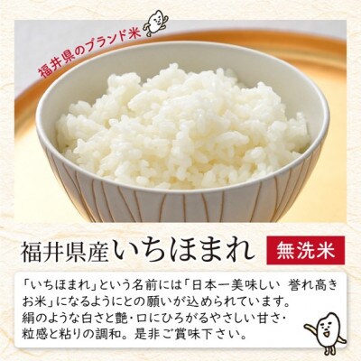 【令和6年産】福井県のブランド米いちほまれ 無洗米10kg (5kg×2袋)[C-6105]