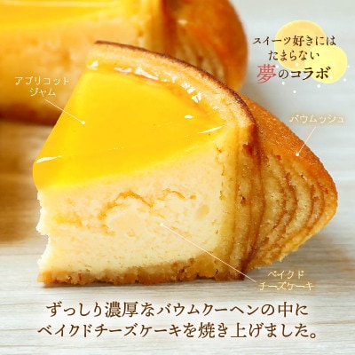 【チーズケーキセット】ムッシュフロマージュ&マダムフロマージュ 計2個[A-08154]