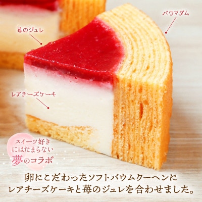 【チーズケーキセット】ムッシュフロマージュ&マダムフロマージュ 計2個[A-08154]