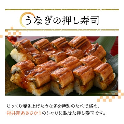 うなぎの押し寿司2本セット [A-8409]