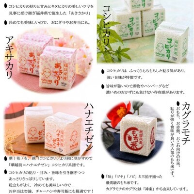 さんさん池見オリジナル無洗米ギフト用 ～福井県産 米4種食べ比べ～[A-0206]