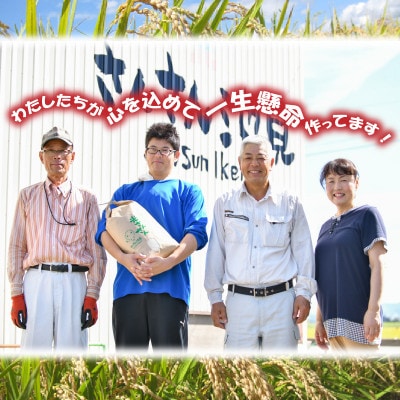 さんさん池見オリジナル無洗米ギフト用 ～福井県産 米4種食べ比べ～[A-0206]