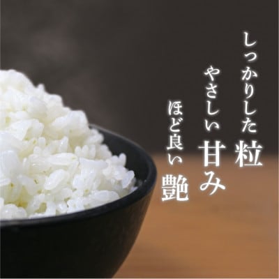【令和6年産先行受付】さんさん池見二代目がお届けする福井県産いちほまれ精米 5kg [A-0209]