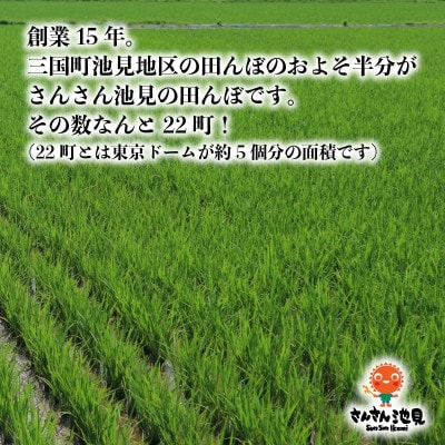 【令和6年産先行受付】ハナエチゼン 5kg　坂井市三国町産・こだわりの精米対応 白米[A-0213]