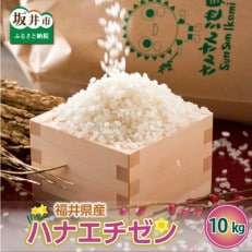 【令和5年産】さんさん池見二代目の 福井県産 ハナエチゼン 10kg 玄米 [A-0238]