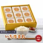 福井県産 いちほまれ 真空パック 無洗米 2合入×9個セット [A-0251]