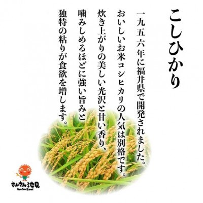 【令和6年産先行受付】さんさん池見二代目が笑顔で育てたコシヒカリ 玄米 10kg[A-0232]