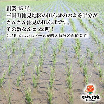 【令和6年産先行受付】さんさん池見二代目が笑顔で育てたコシヒカリ 玄米 10kg[A-0232]