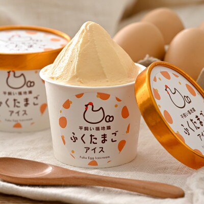 平飼い福地鶏「ふくたまごアイス」9個セット (ノーマル)[A-4940]