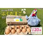 平飼い福地鶏「ふくたまご」10個×2パック[A-4932]