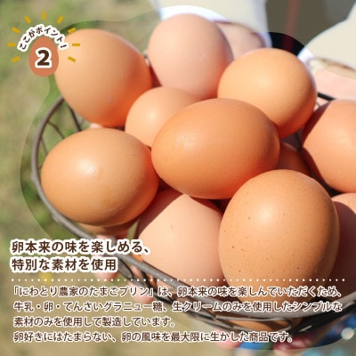 にわとり農家の卵プリン12個セット[A-4935]