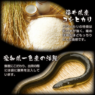 人気料理店の食べる口福お届け便 (みなみ特選 うな蒸すび 6個) [A-6506]