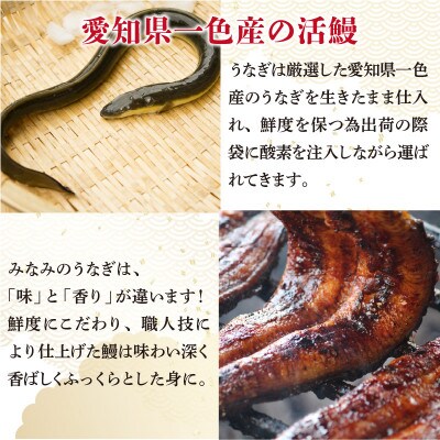 人気料理店の食べる口福お届け便 【みなみ特選贅沢うなぎ詰め合わせ】計8袋 [B-6501]