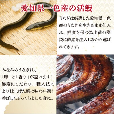 人気料理店の食べる口福お届け便 【みなみ特選刻みうなぎ 1セット3袋】 [A-6508]