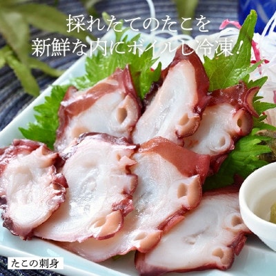 ワクワク たこスライス 約250g　[A-6204]