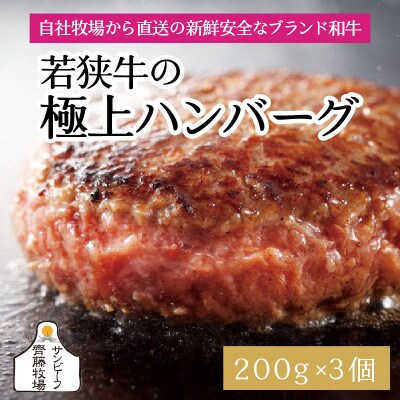若狭牛の極上ハンバーグ 200g × 3個[B-1802]
