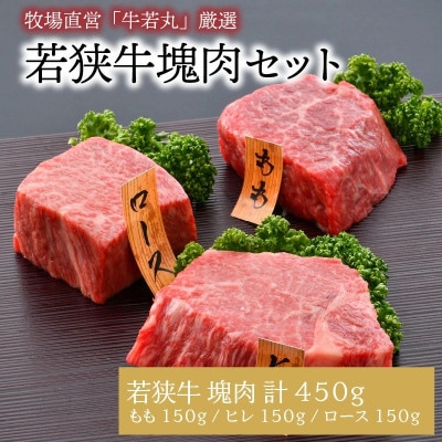 牧場直営「牛若丸」厳選 若狭牛塊肉セット 計450g[B-1852]