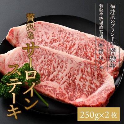 若狭牛 特上サーロインステーキ250g×2枚&越前海岸の百笑の塩・結晶塩・スパイス塩[D-1804]